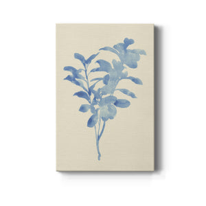 Verditer Fig II - Canvas Art Print