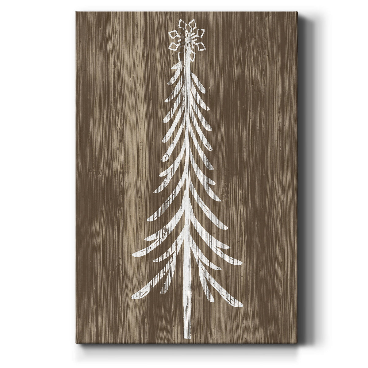 Barnwood Wonderland IX - Canvas Art Print
