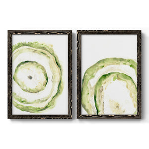 Lichen Halo III - Barnwood Framed Canvas Set