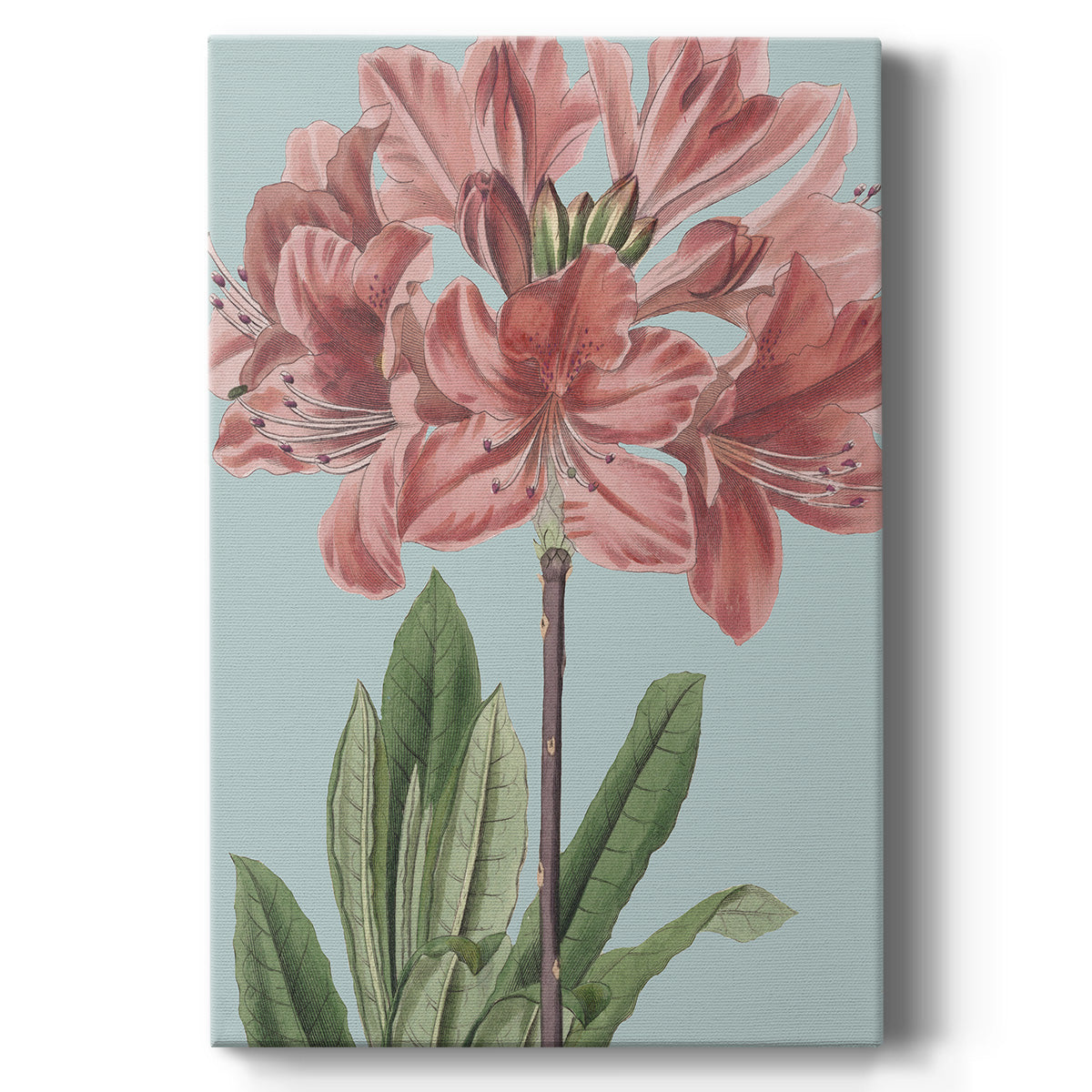 Fresh Florals III Premium Gallery Wrapped Canvas - Ready to Hang
