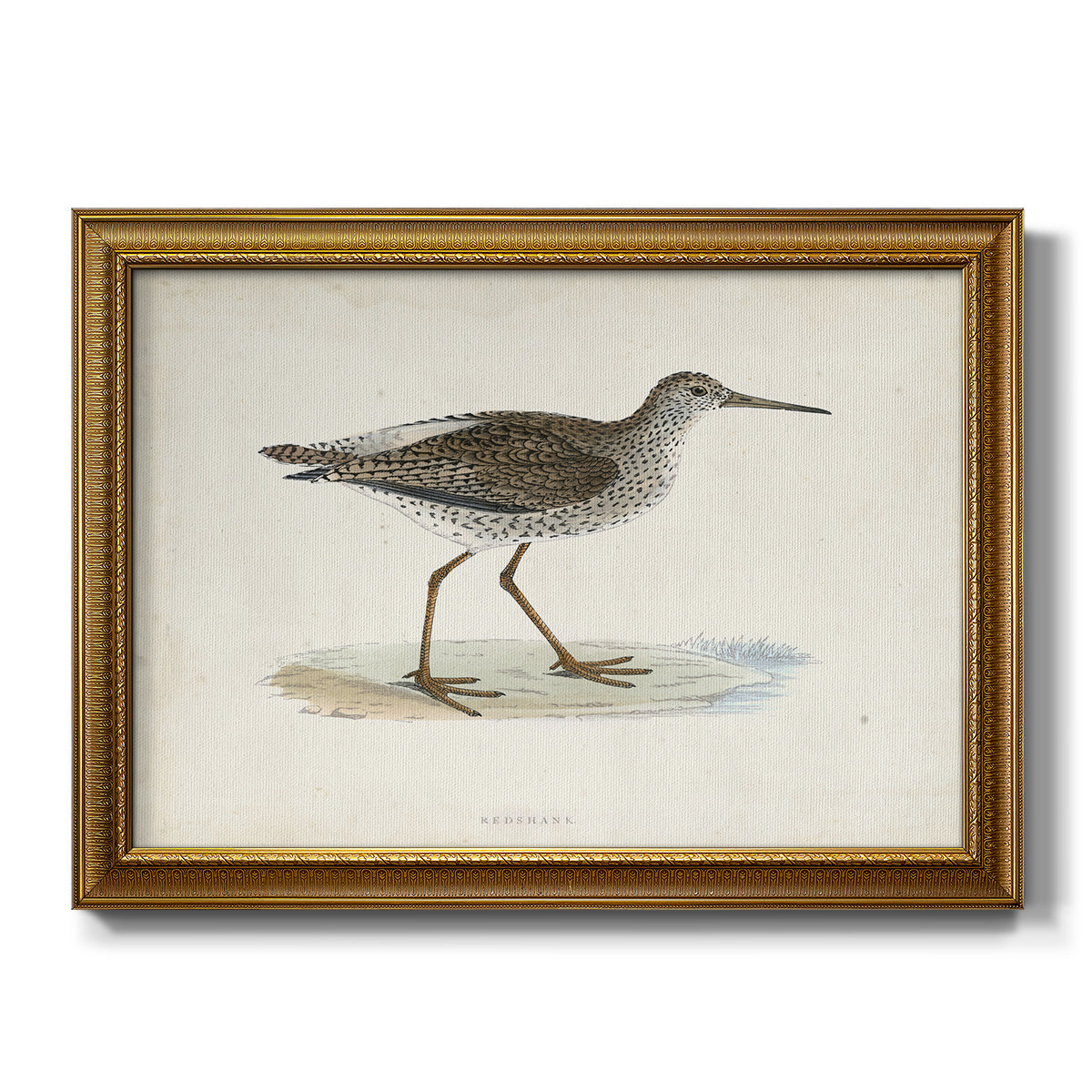 Morris Sandpipers V - Ornate Framed Canvas Print