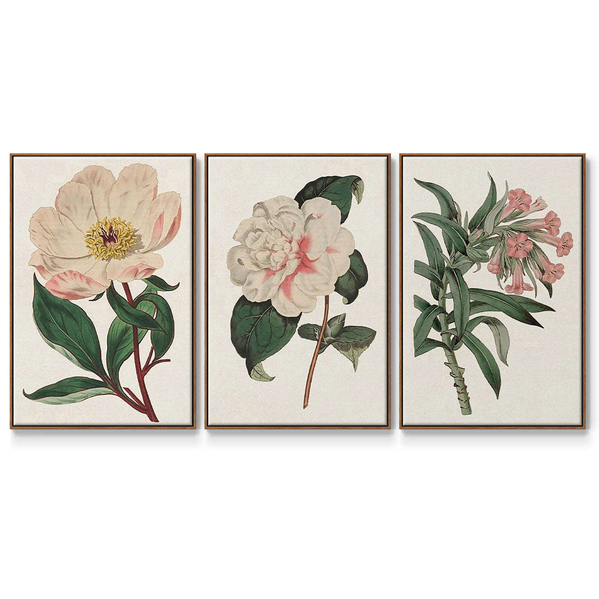 Pink Floral Mix VI - Framed Premium Gallery Wrapped Canvas L Frame 3 Piece Set - Ready to Hang