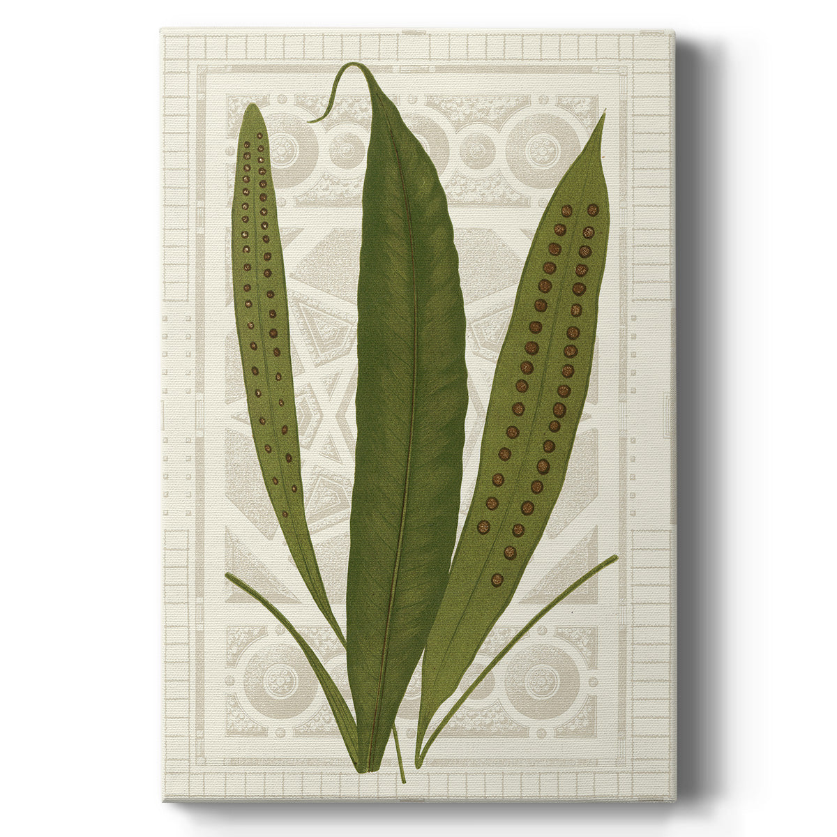 Garden Ferns VI - Canvas Art Print