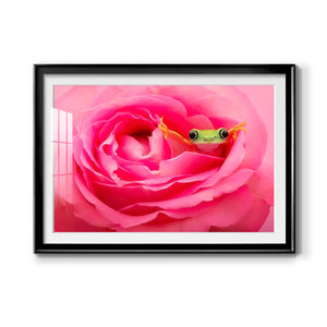 Hanging On VIII - Modern Framed Art Print