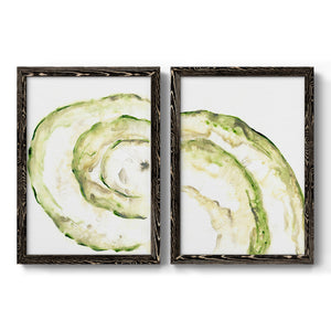 Lichen Halo V - Barnwood Framed Canvas Set