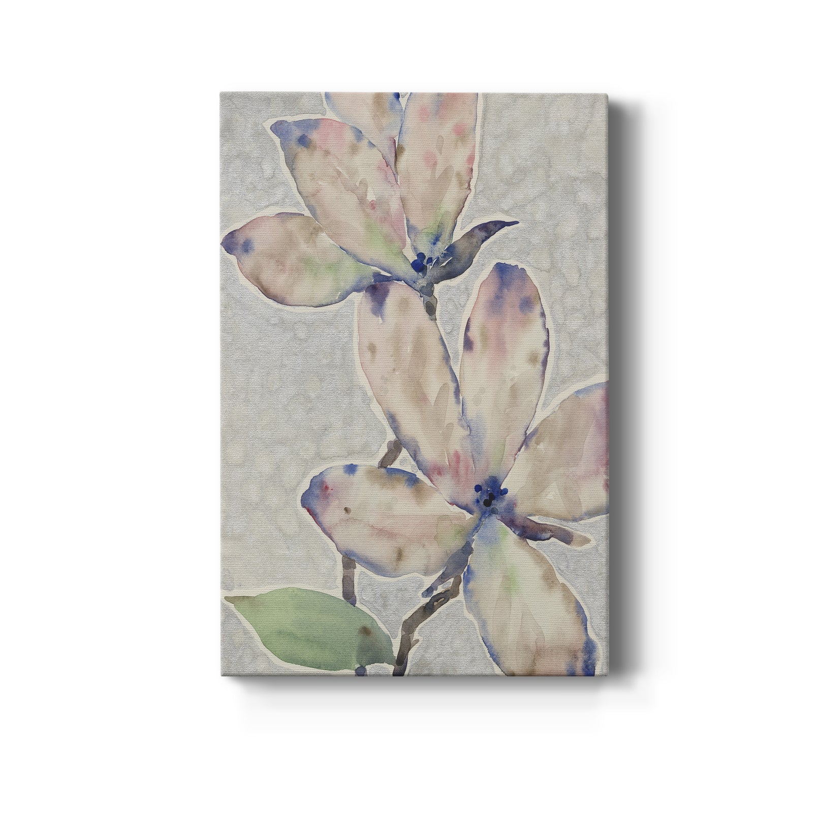 Blossom Study I - Canvas Art Print