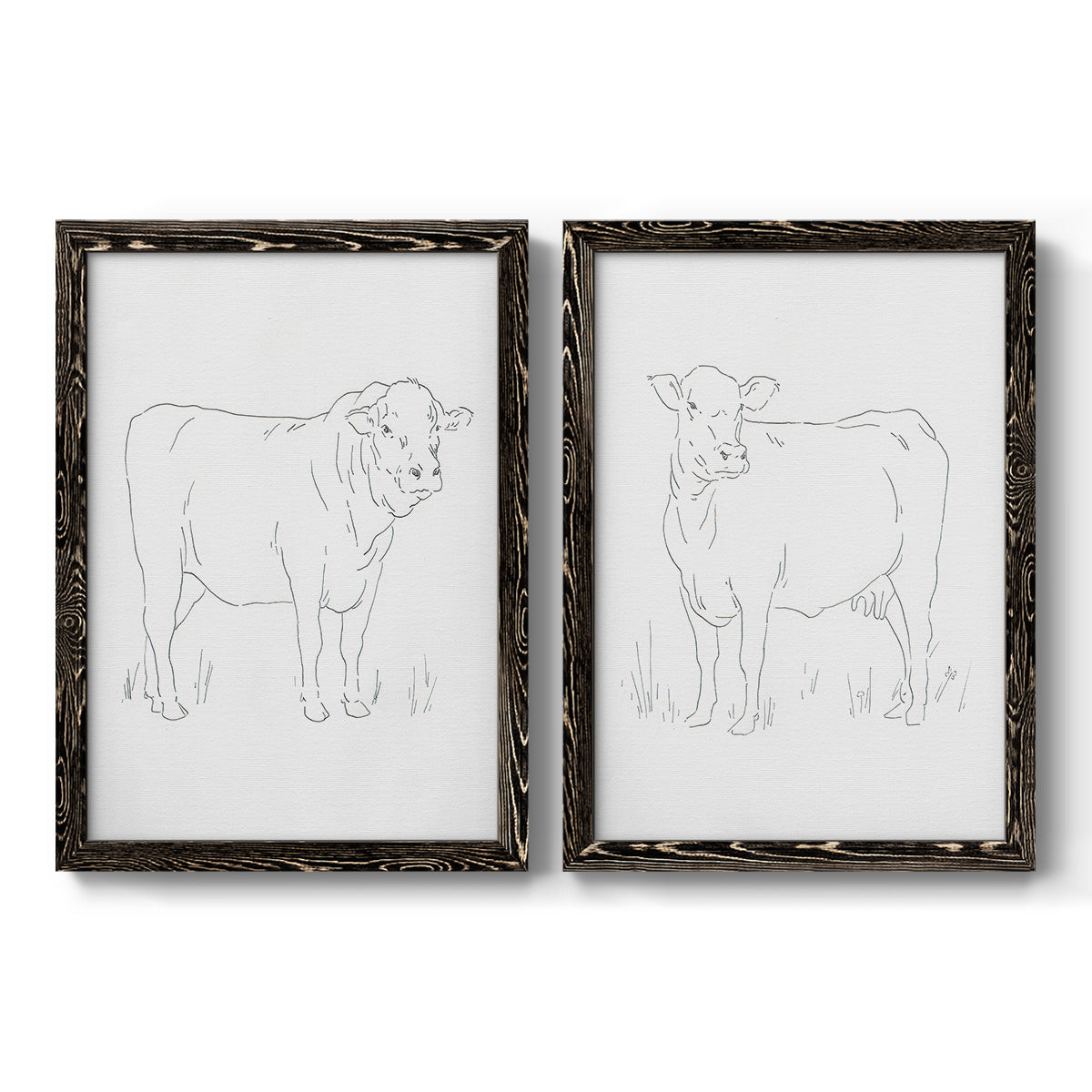 Limousin Cattle I - Barnwood Framed Canvas Set