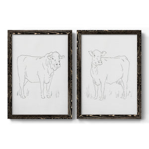 Limousin Cattle I - Barnwood Framed Canvas Set