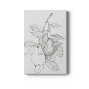 Fruit-Bearing Branch III - Canvas Art Print