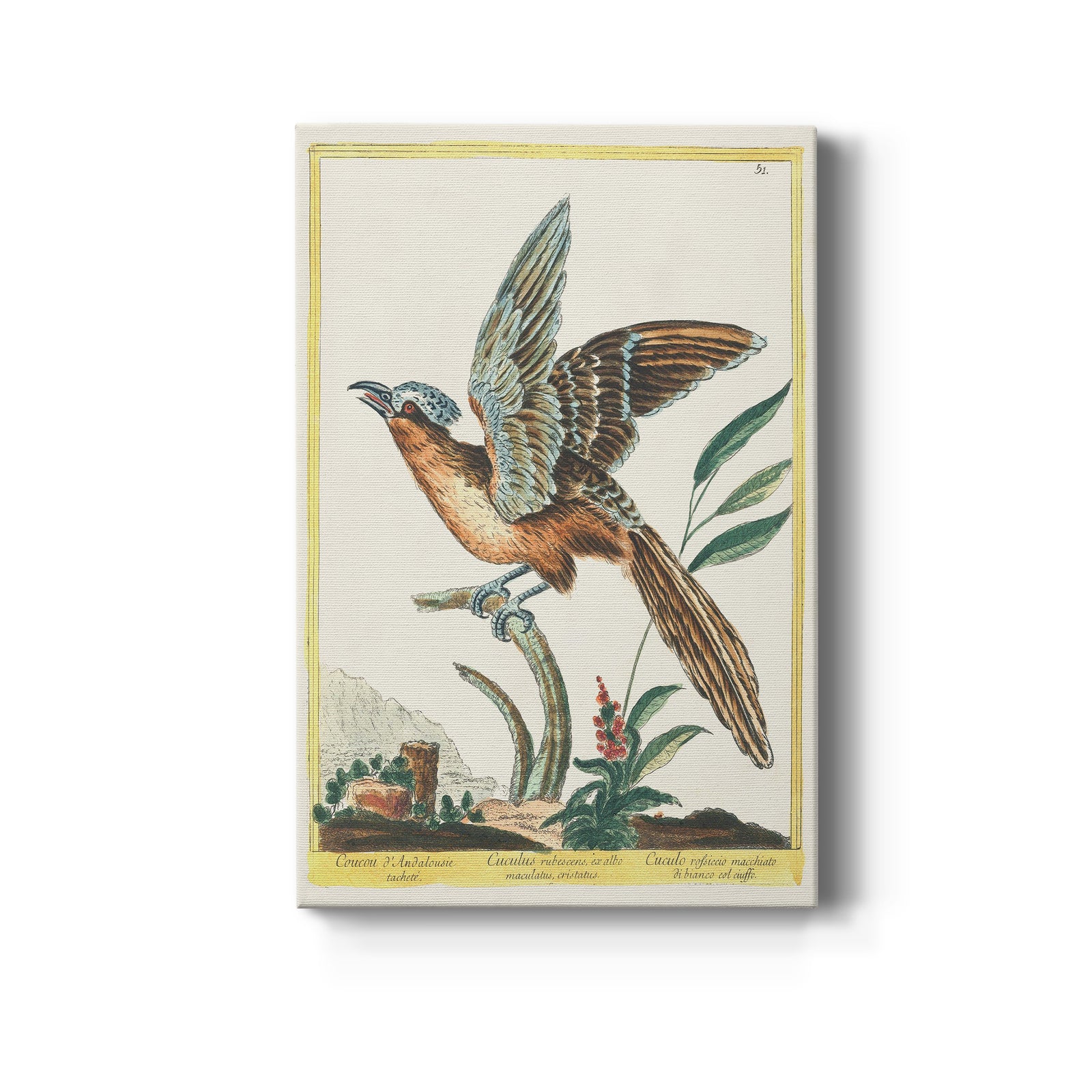 Pastel Birds IV - Canvas Art Print