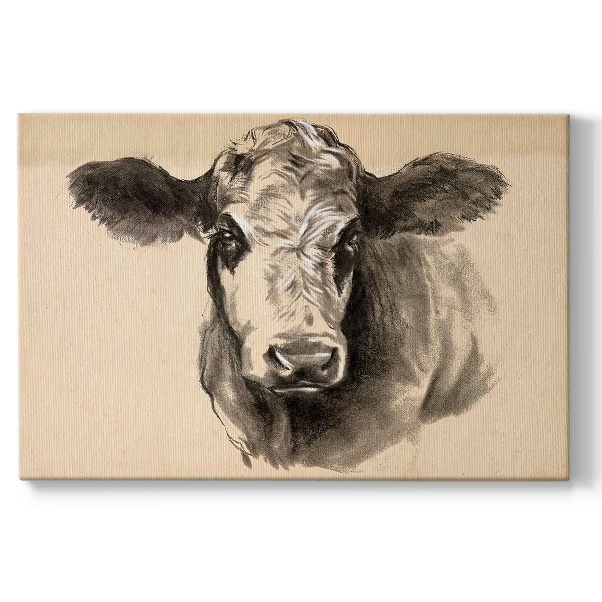 Charcoal Cow I - Canvas Art Print