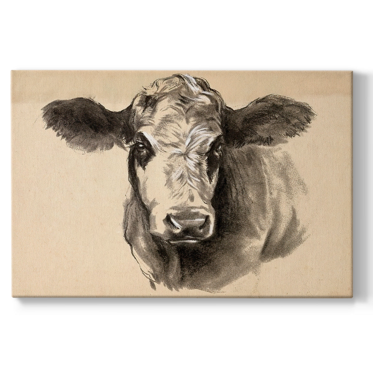 Charcoal Cow I Premium Gallery Wrapped Canvas - Ready to Hang