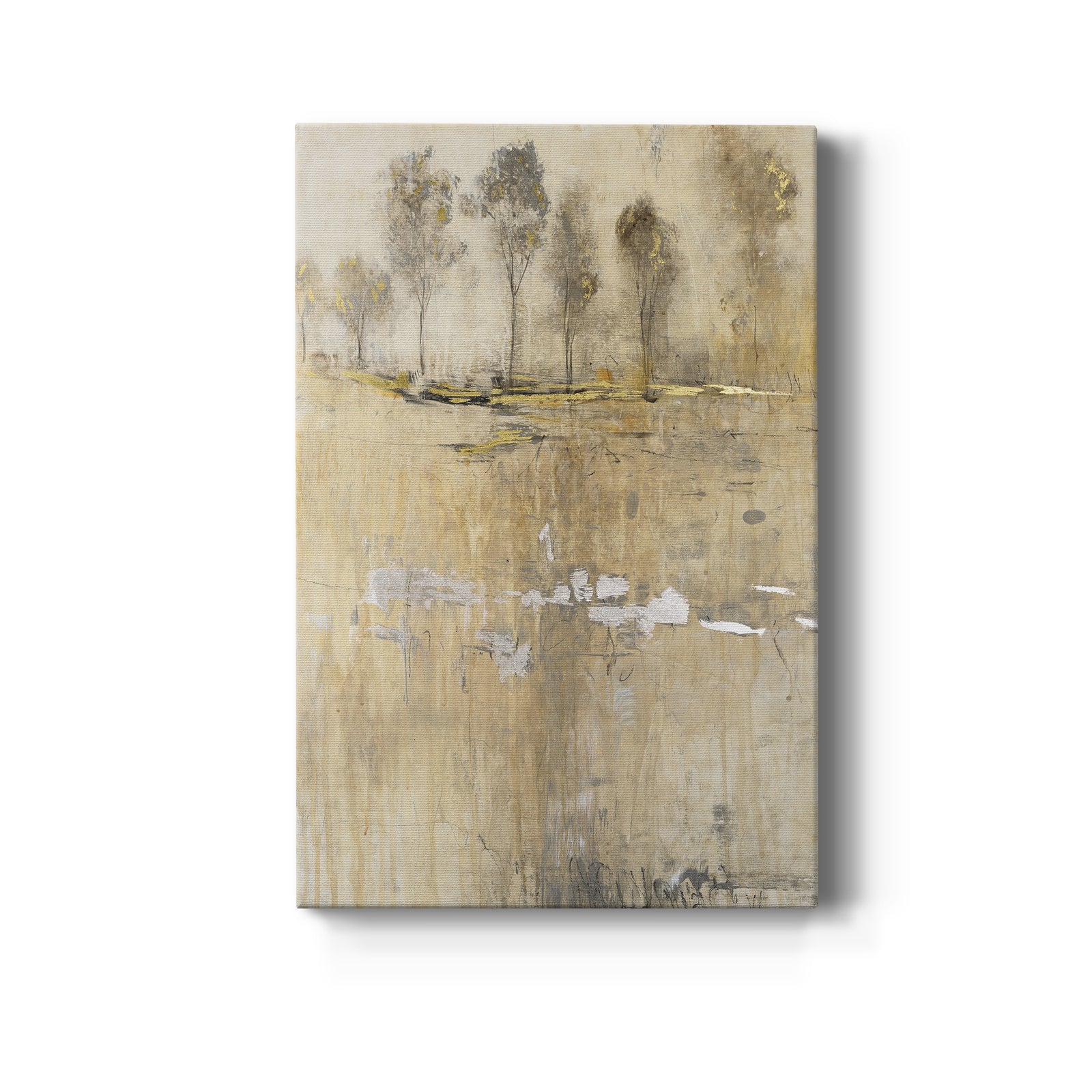 Cloaked in Mist I - Canvas Art Print