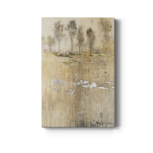 Cloaked in Mist I - Canvas Art Print