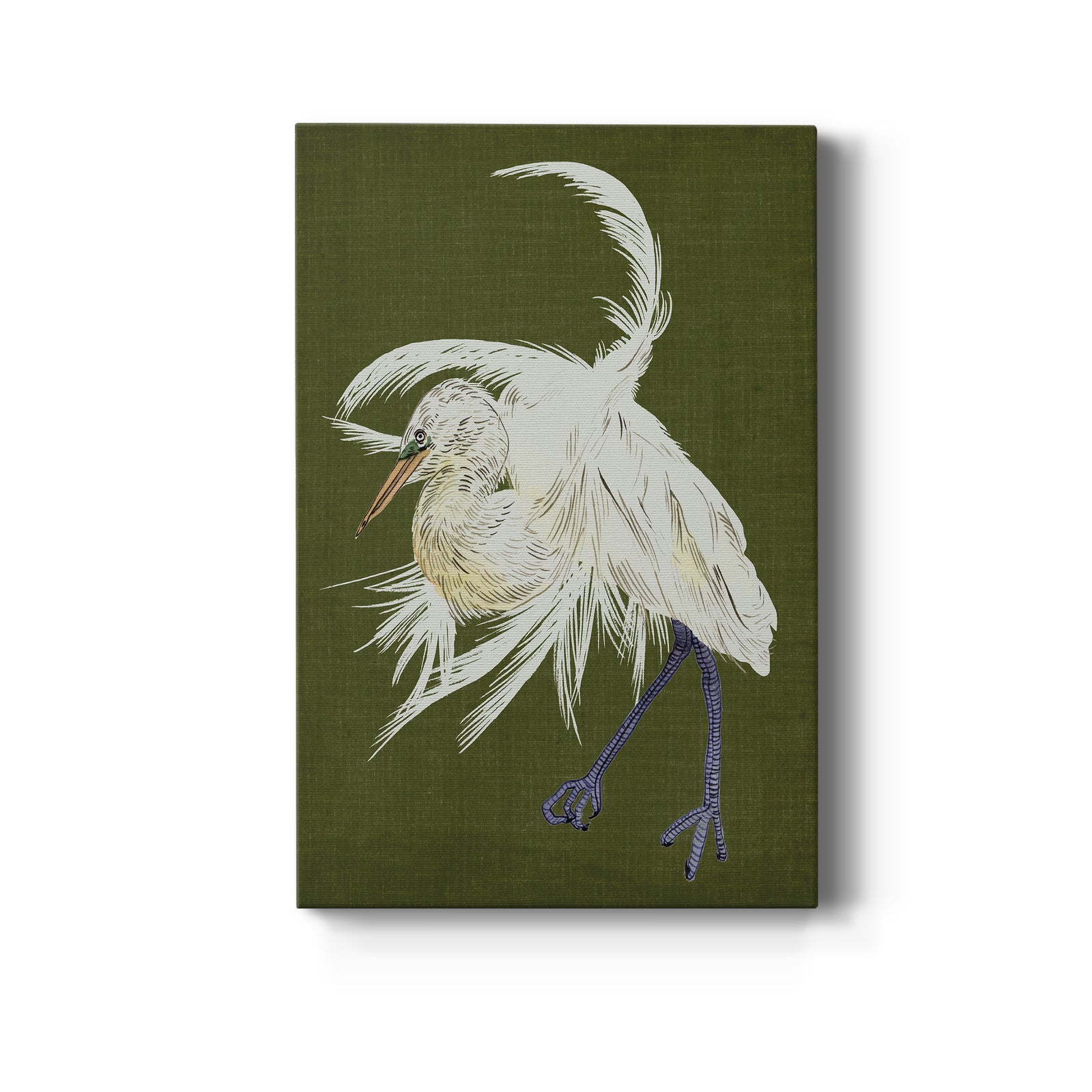 Heron Plumage II - Canvas Art Print