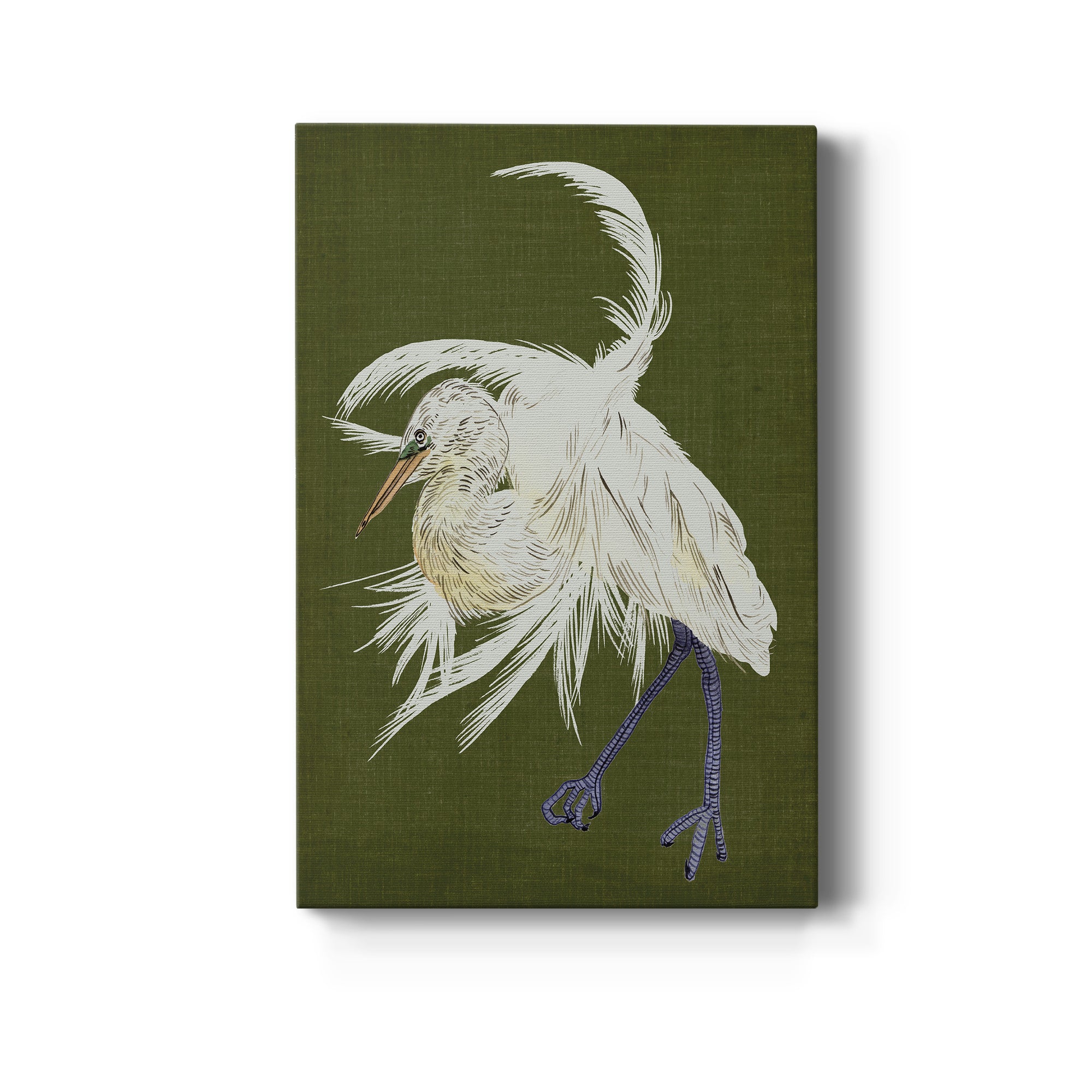 Heron Plumage II Premium Gallery Wrapped Canvas - Ready to Hang