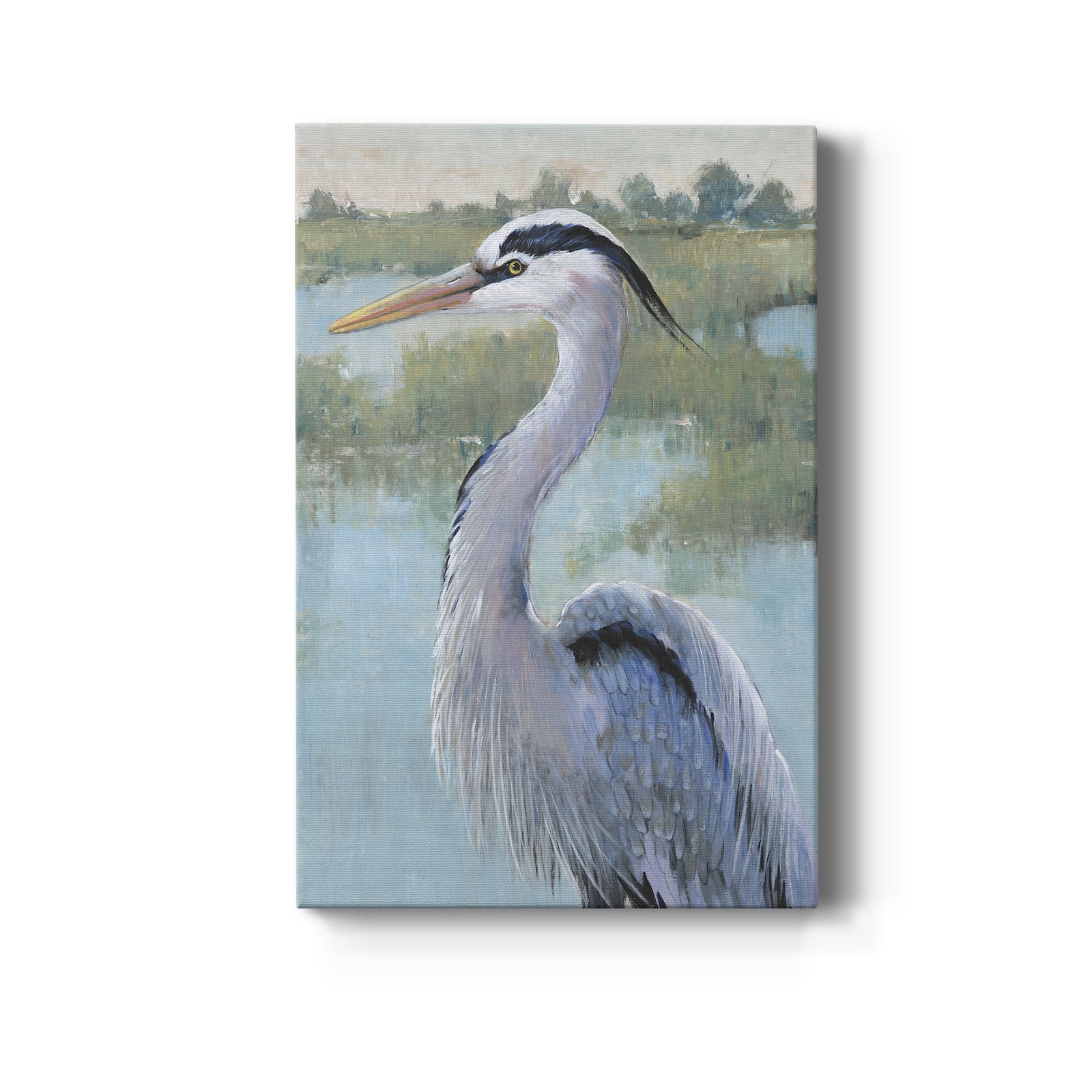 Blue Heron Portrait I - Canvas Art Print