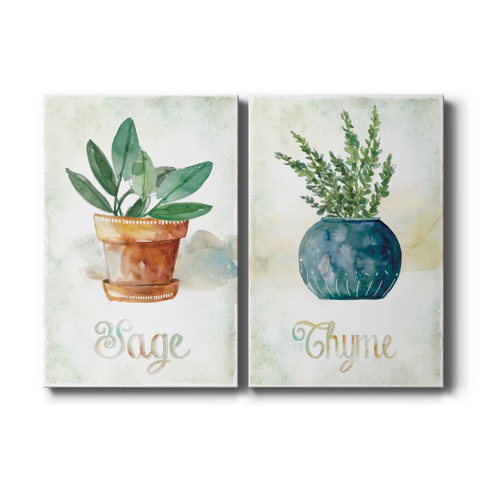 Potted Sage - Canvas Art Set