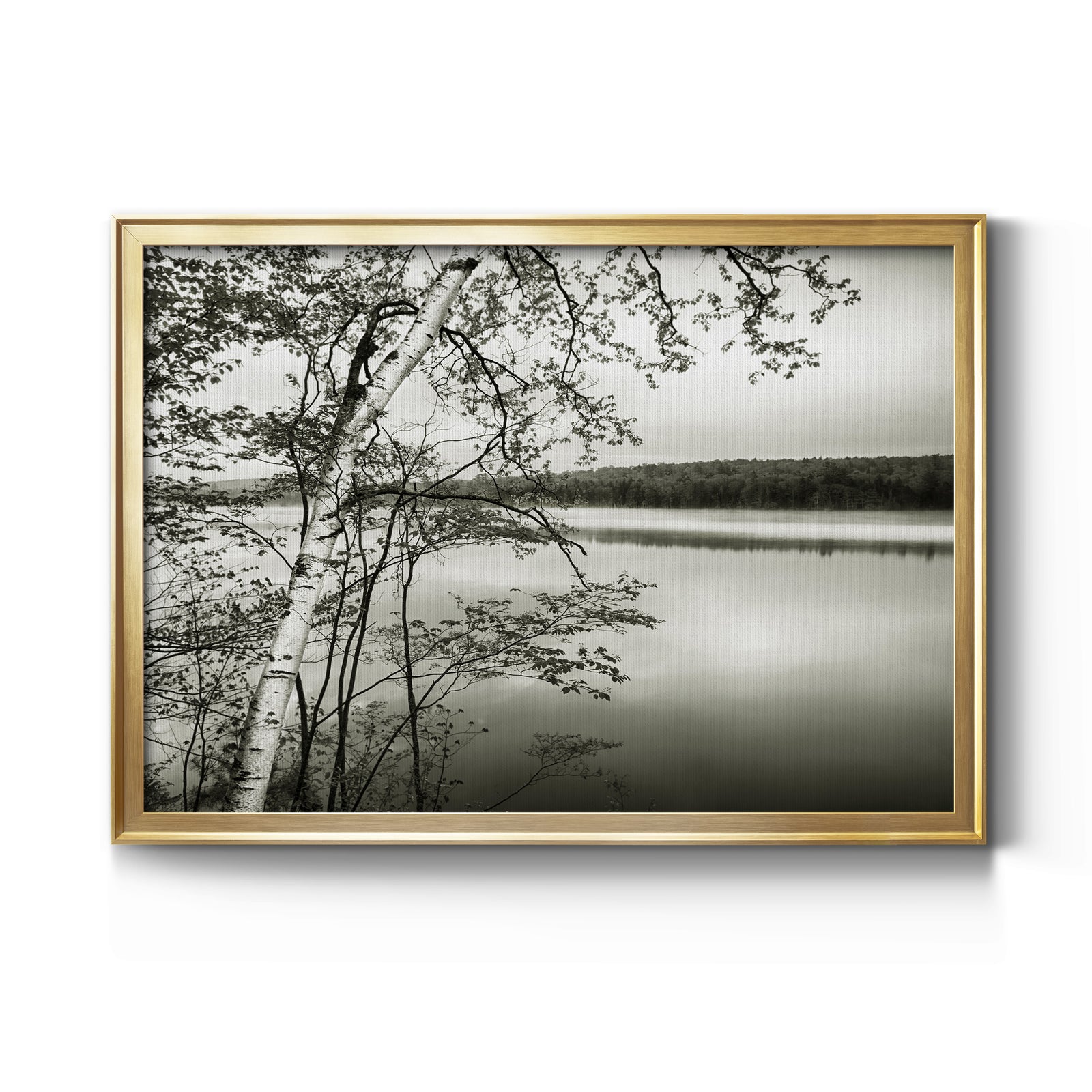 Adirondack Reflections - Modern Framed Canvas Print