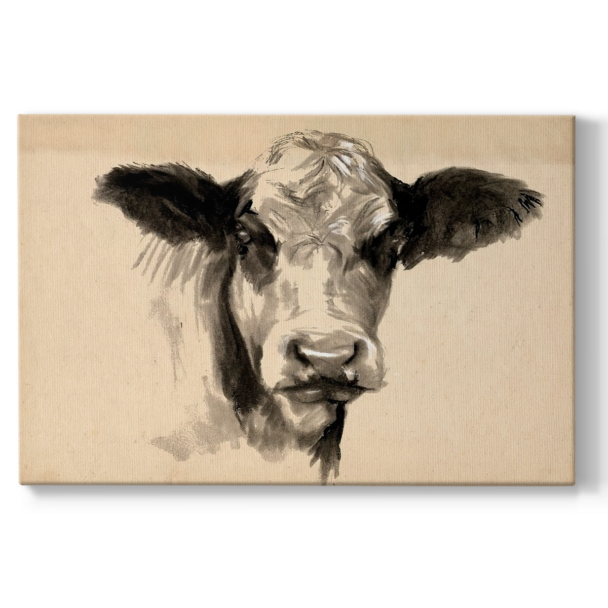 Charcoal Cow II Premium Gallery Wrapped Canvas - Ready to Hang