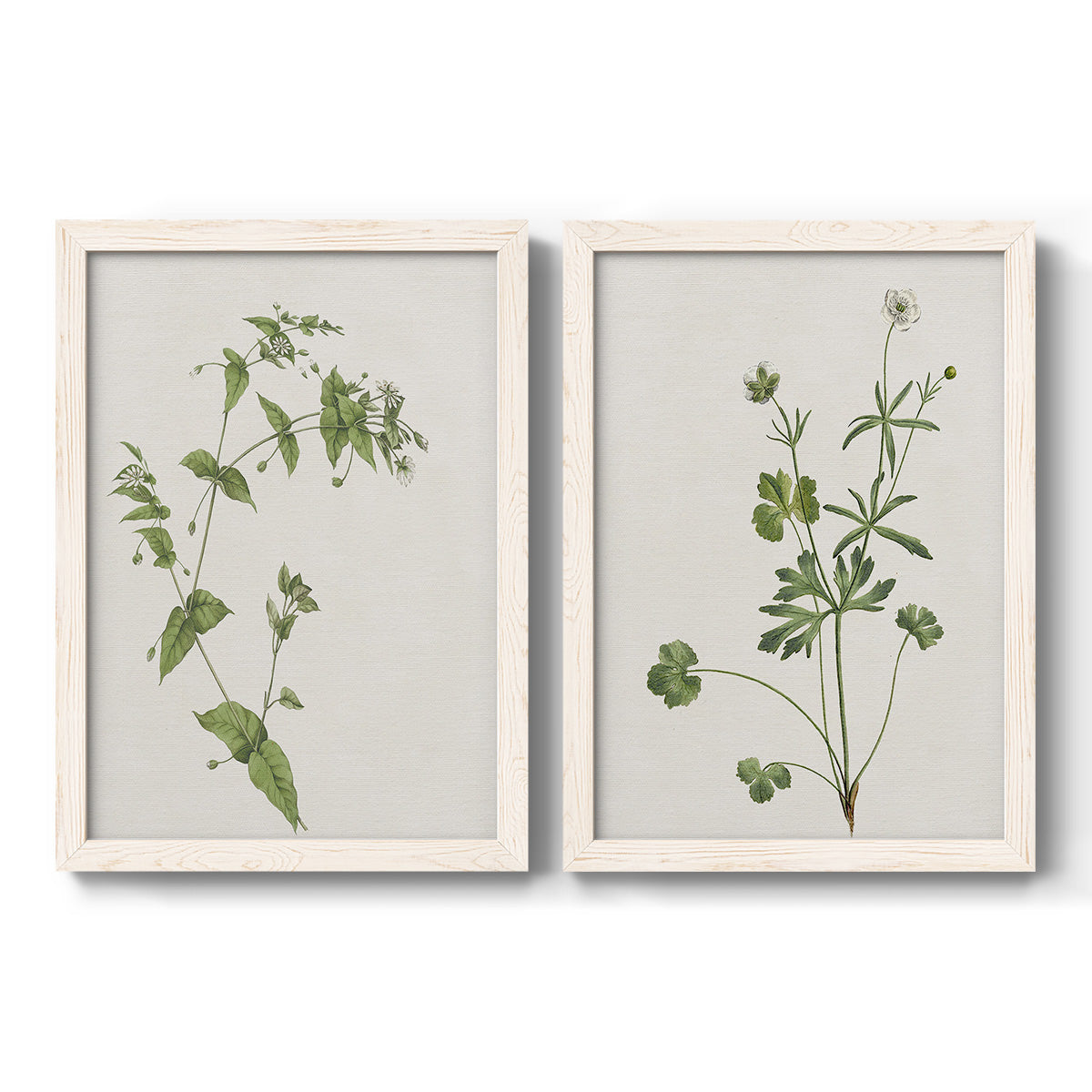 Wispy Botanical I - Barnwood Framed Canvas Set