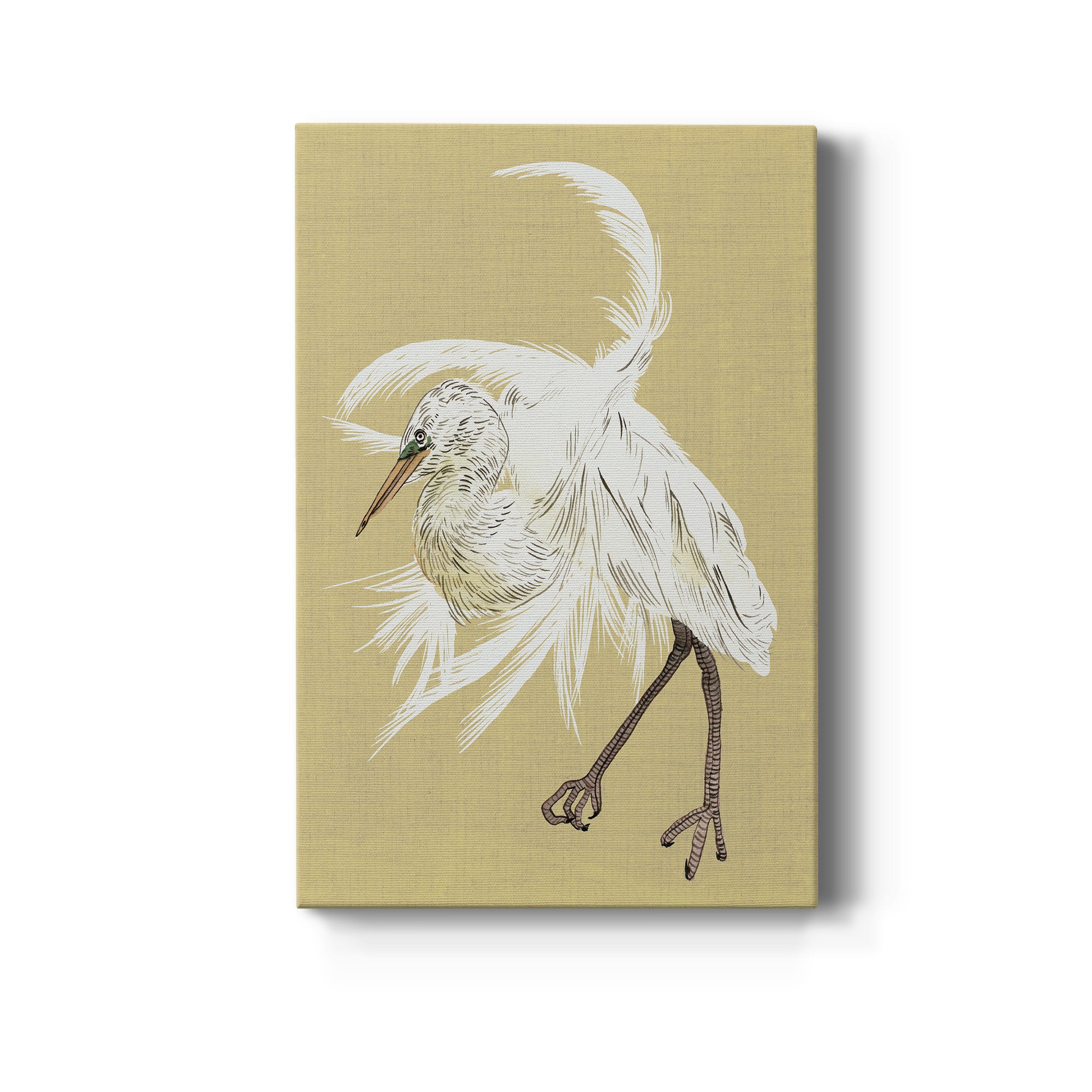 Heron Plumage VI Premium Gallery Wrapped Canvas - Ready to Hang