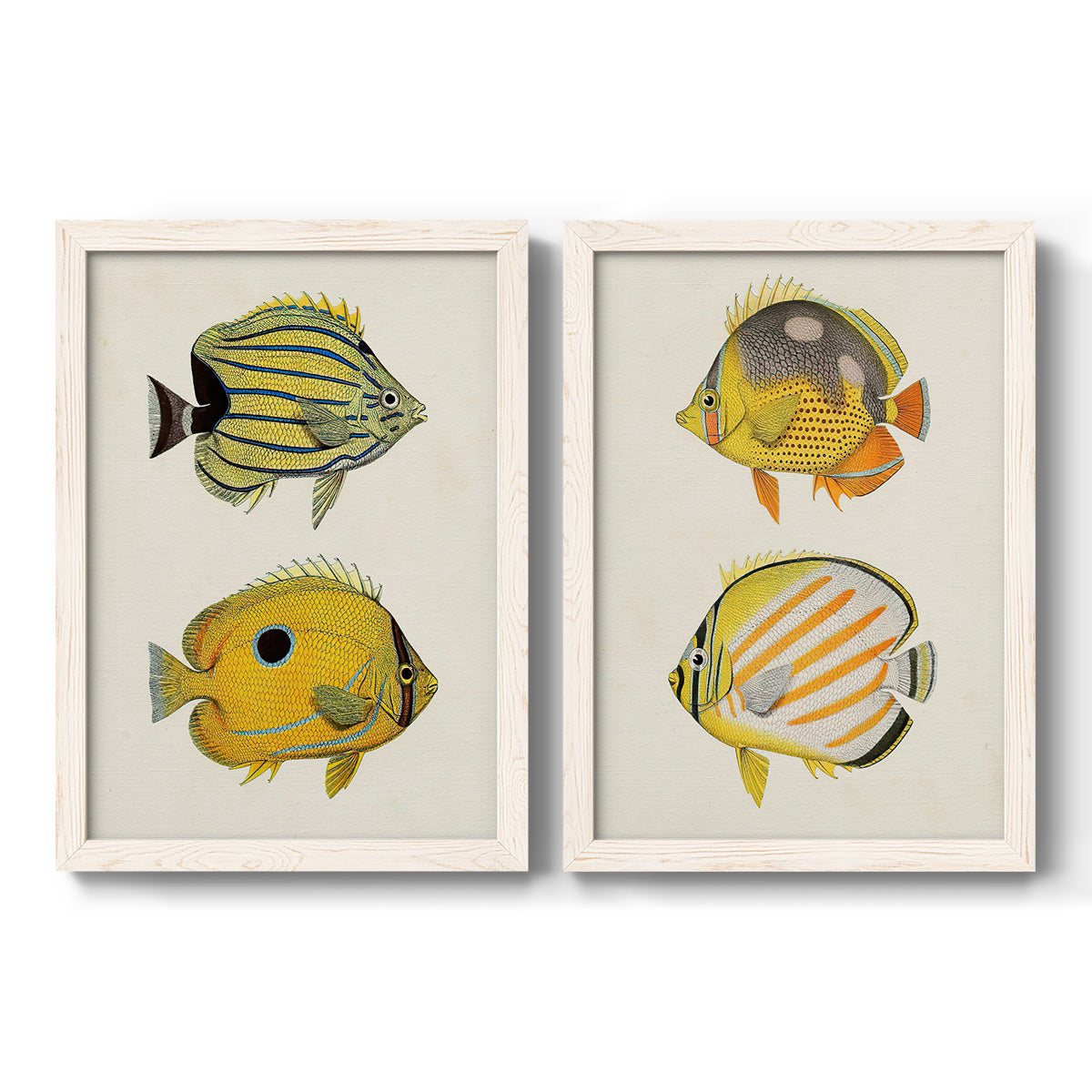 Yellow & Grey Fish III - Barnwood Framed Canvas Set