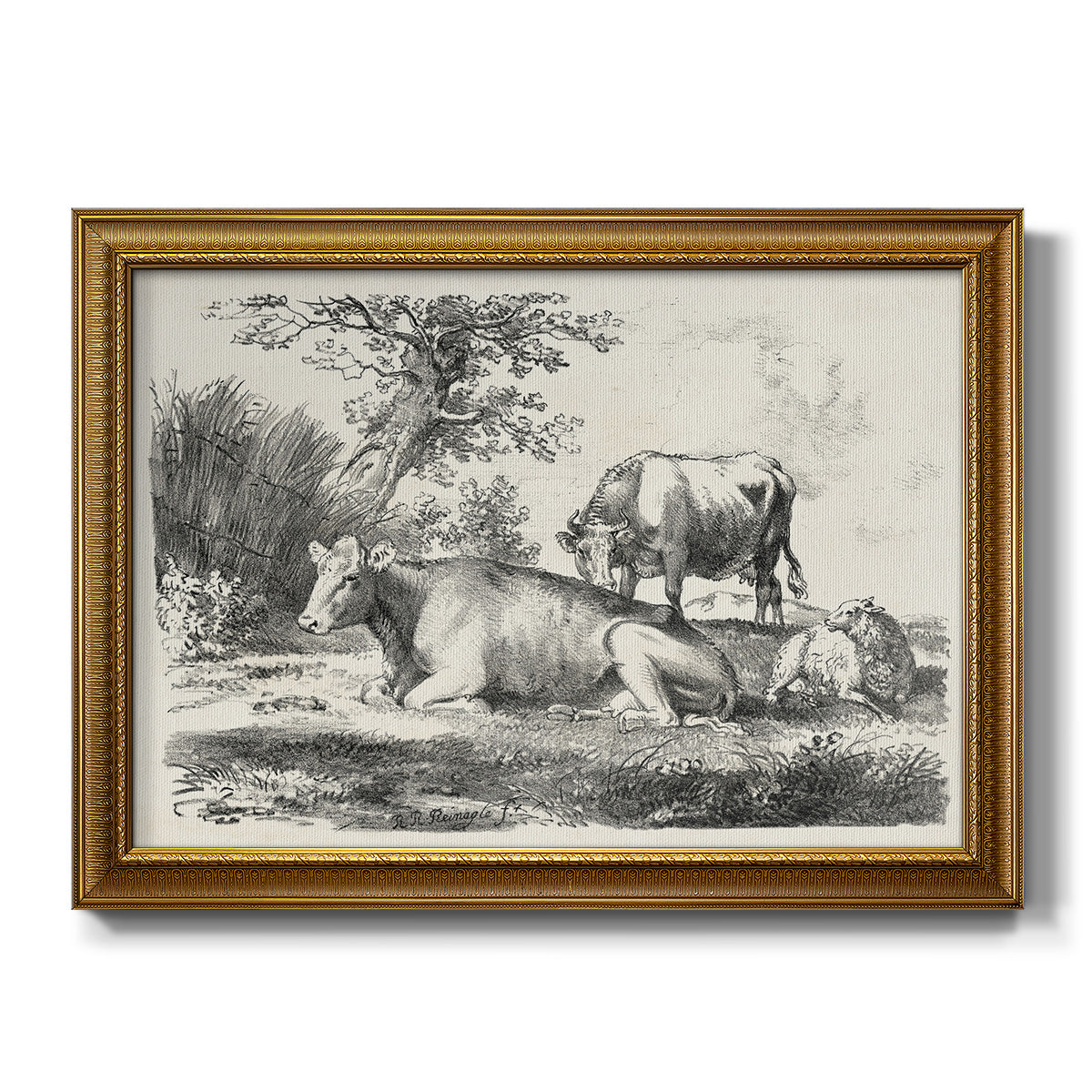 Rural Charms IV - Ornate Framed Canvas Print