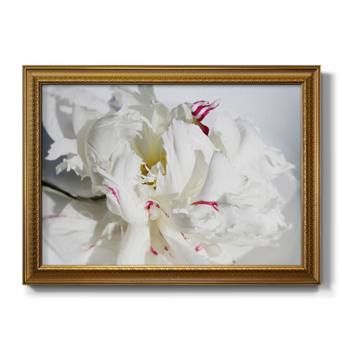 Breathless I - Ornate Framed Canvas Print