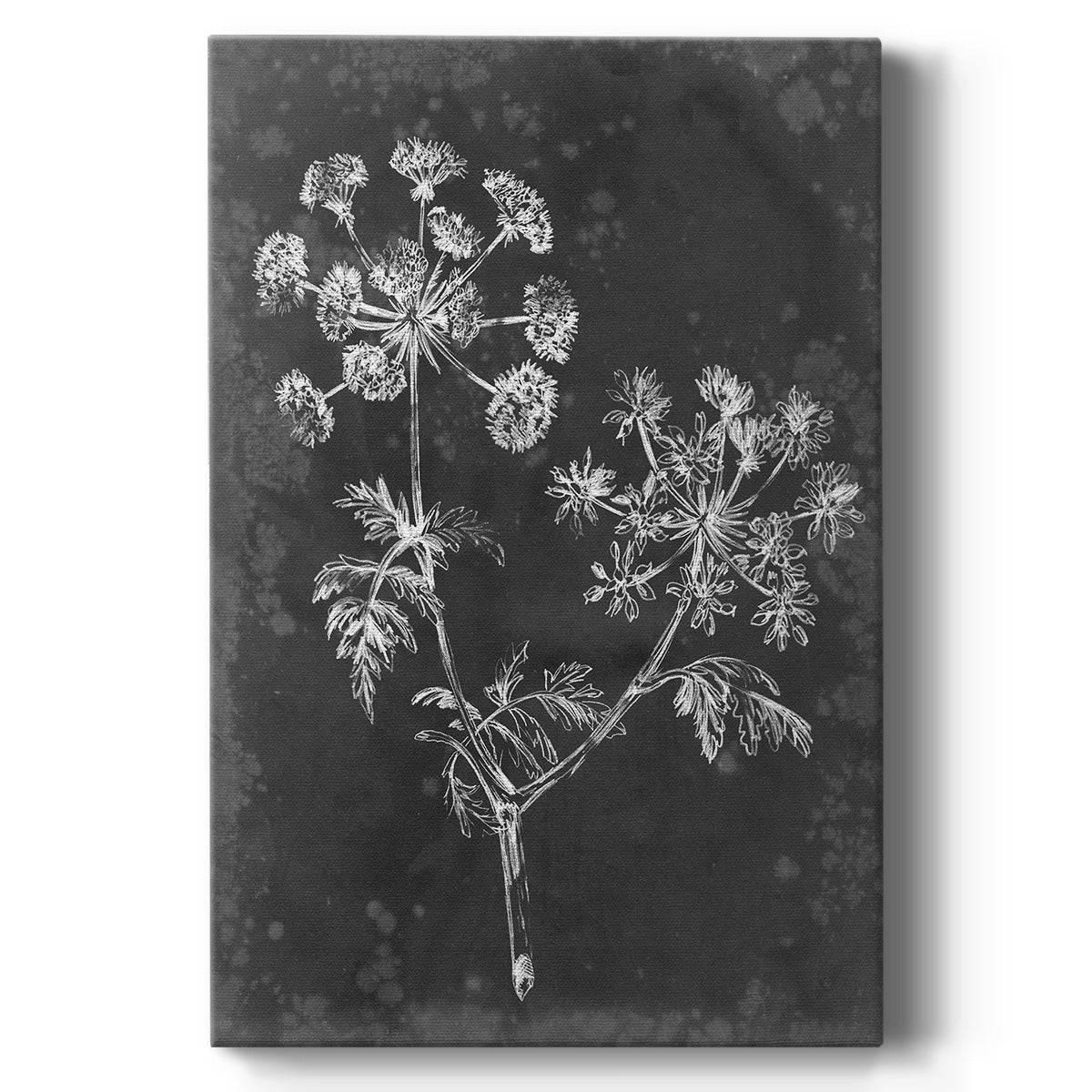 Slate Floral I Premium Gallery Wrapped Canvas - Ready to Hang