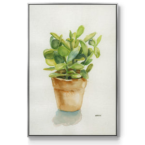 Succulent I - Framed Premium Gallery Wrapped Canvas L Frame - Ready to Hang