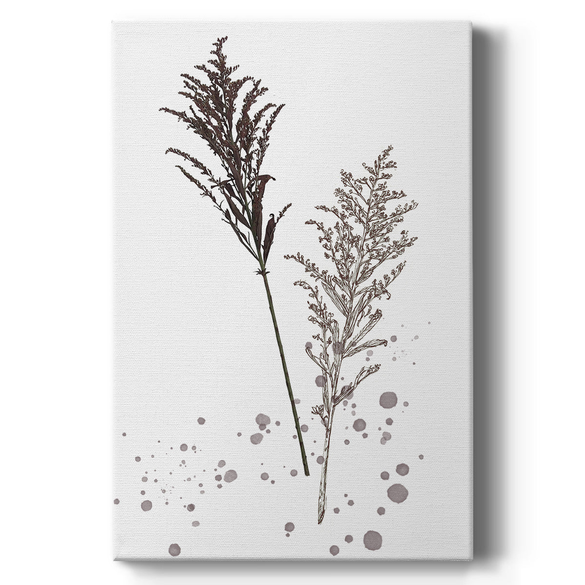 Botany Flower VI - Canvas Art Print