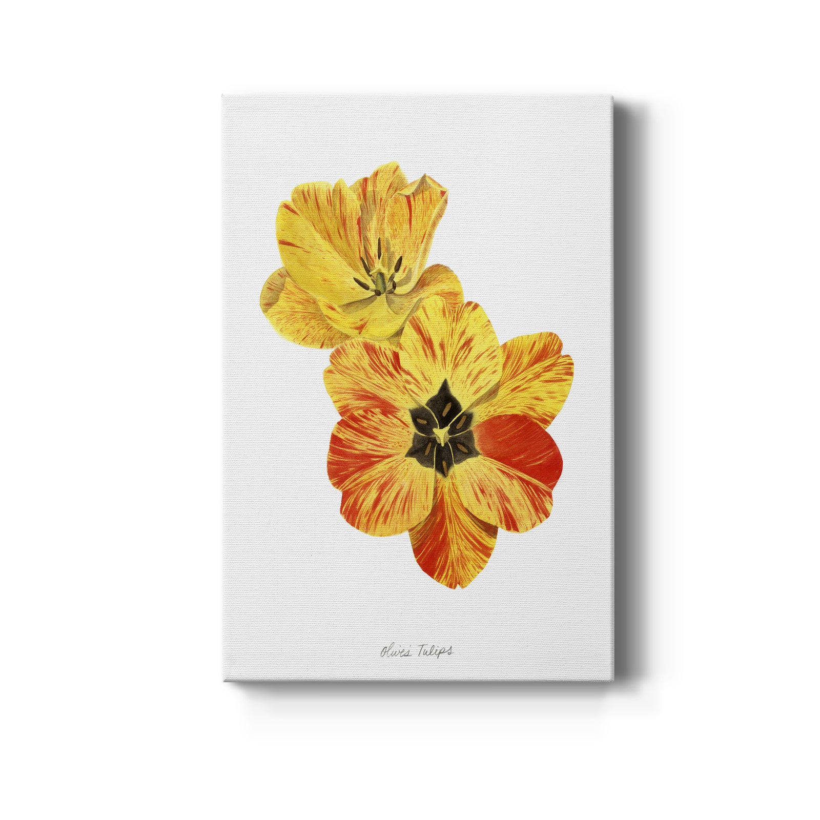 Olive's Tulips I - Canvas Art Print
