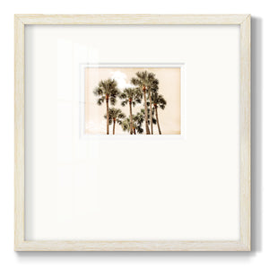 Blushing Palms Premium Framed Print Double Matboard