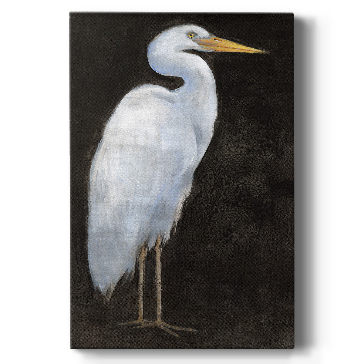 White Heron Portrait I  - Canvas Art Print
