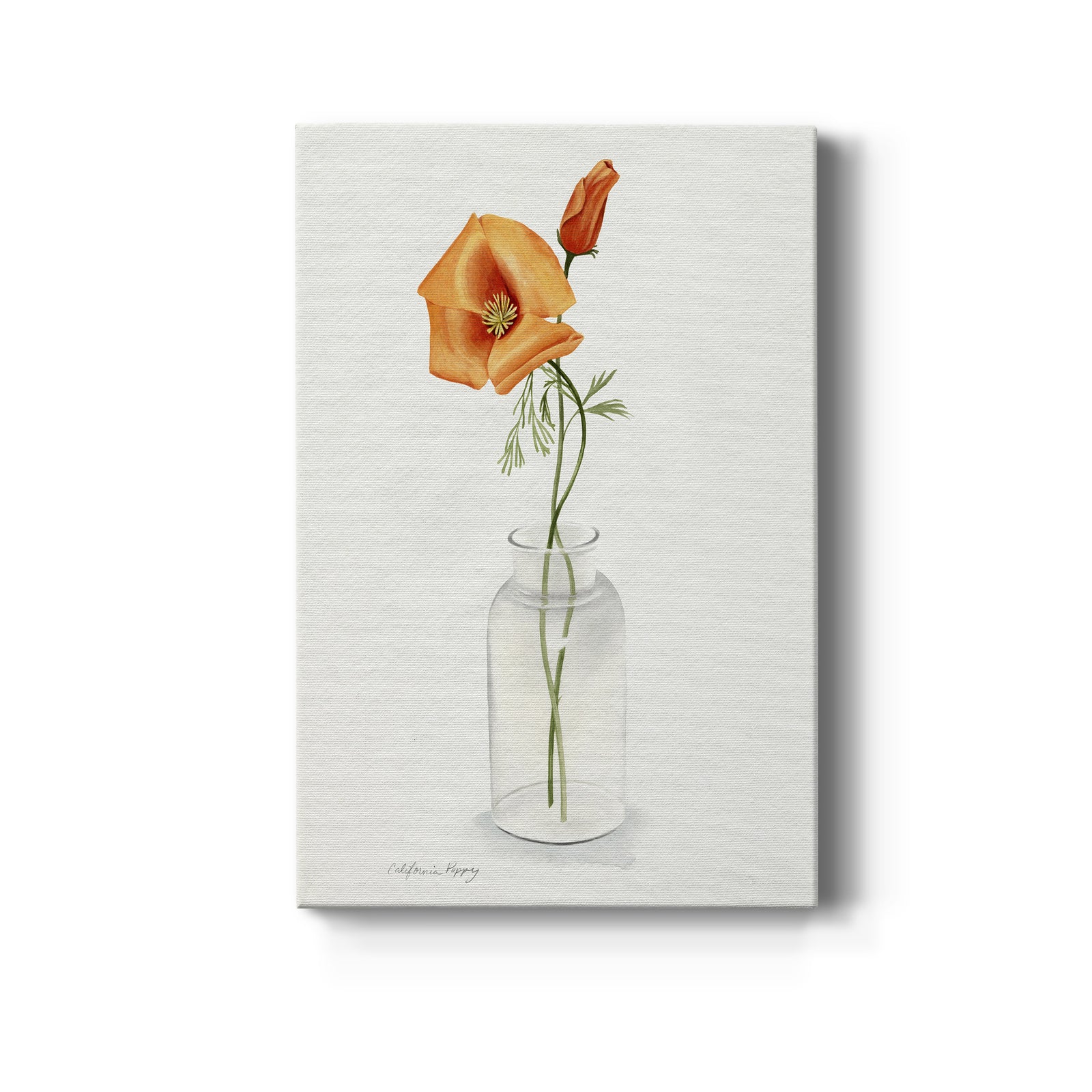 California Poppy Vase I - Canvas Art Print