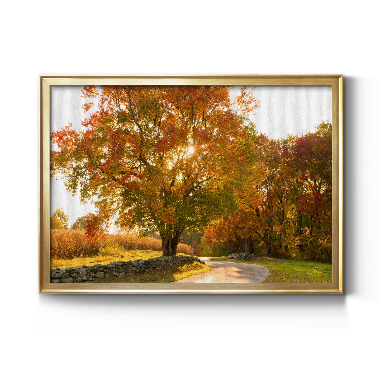 Maple Tree Drive - Modern Framed Canvas Print