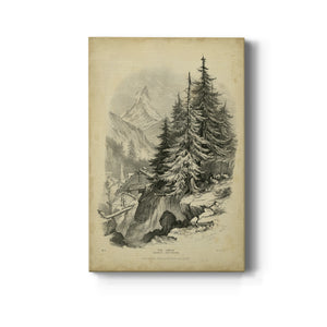 The Larch - Canvas Art Print