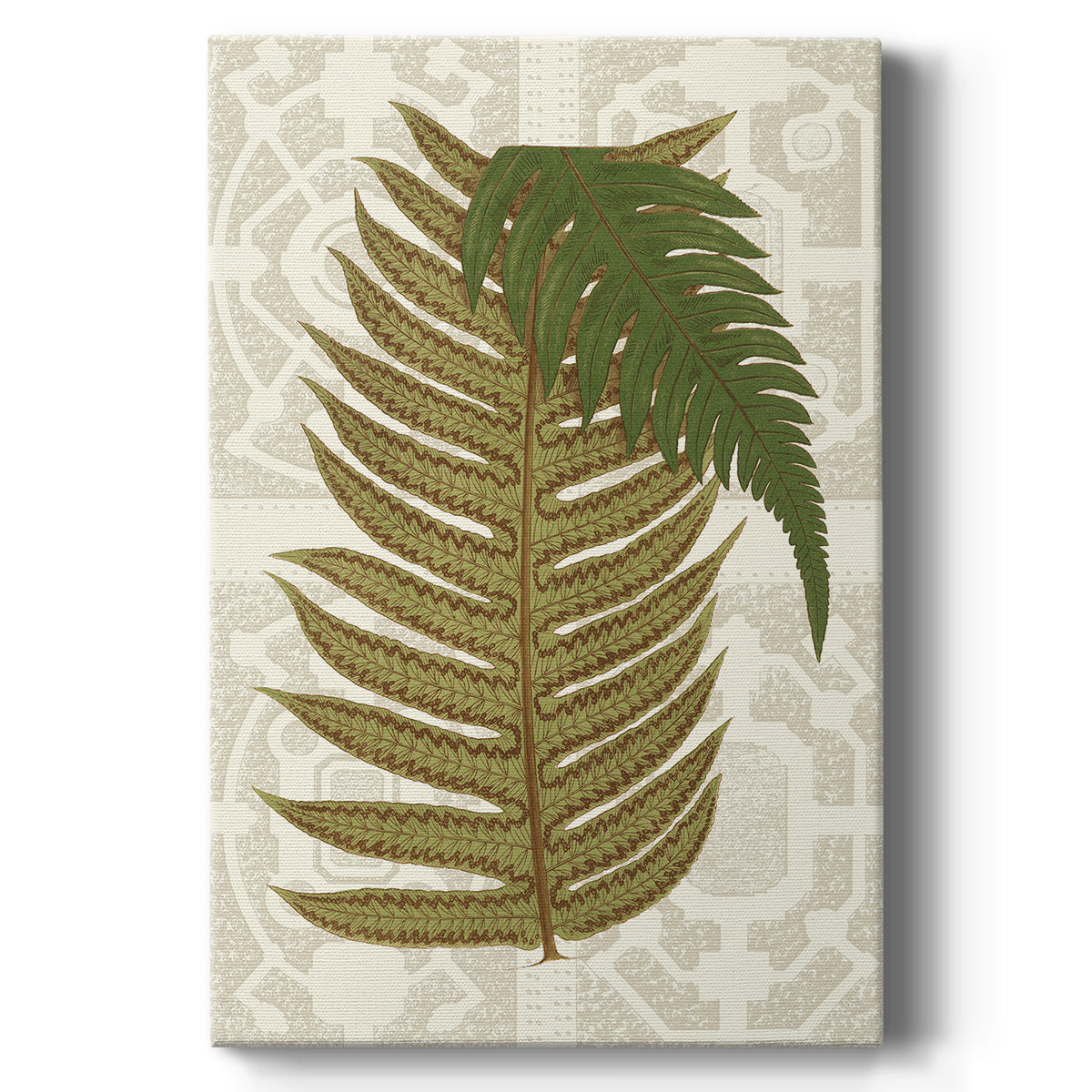 Garden Ferns II - Canvas Art Print