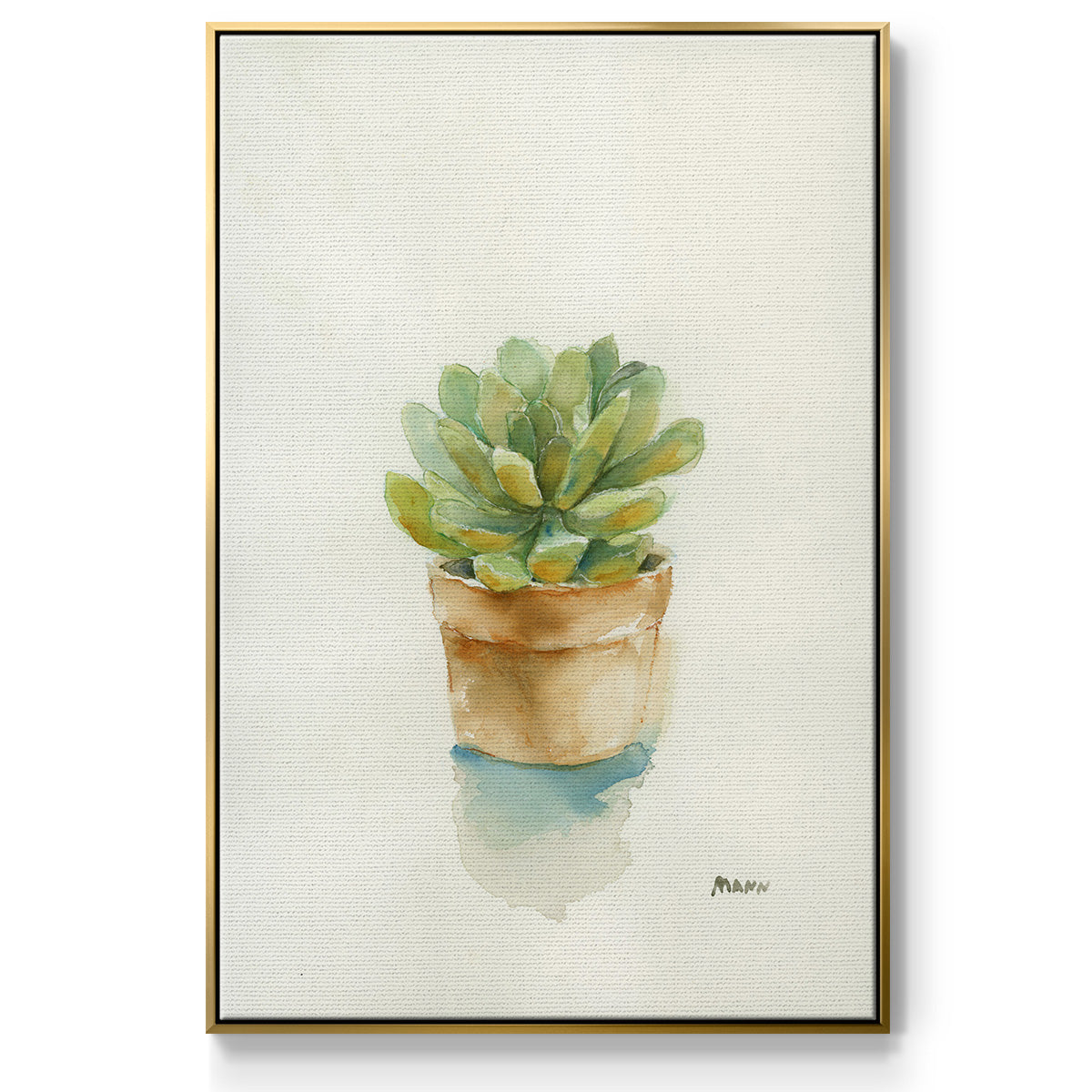 Succulent II - Framed Premium Gallery Wrapped Canvas L Frame - Ready to Hang