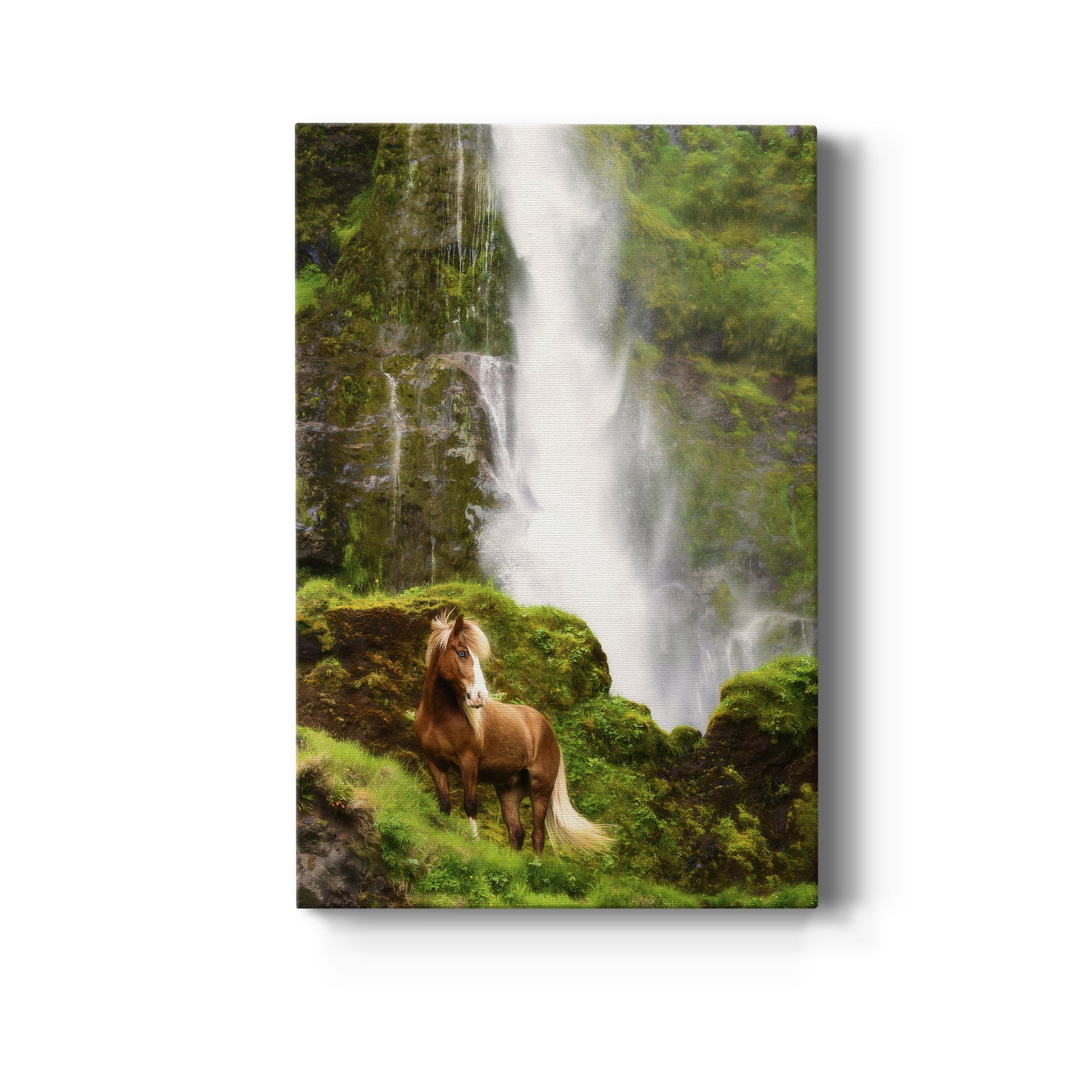 View At Rest VI - Canvas Art Print