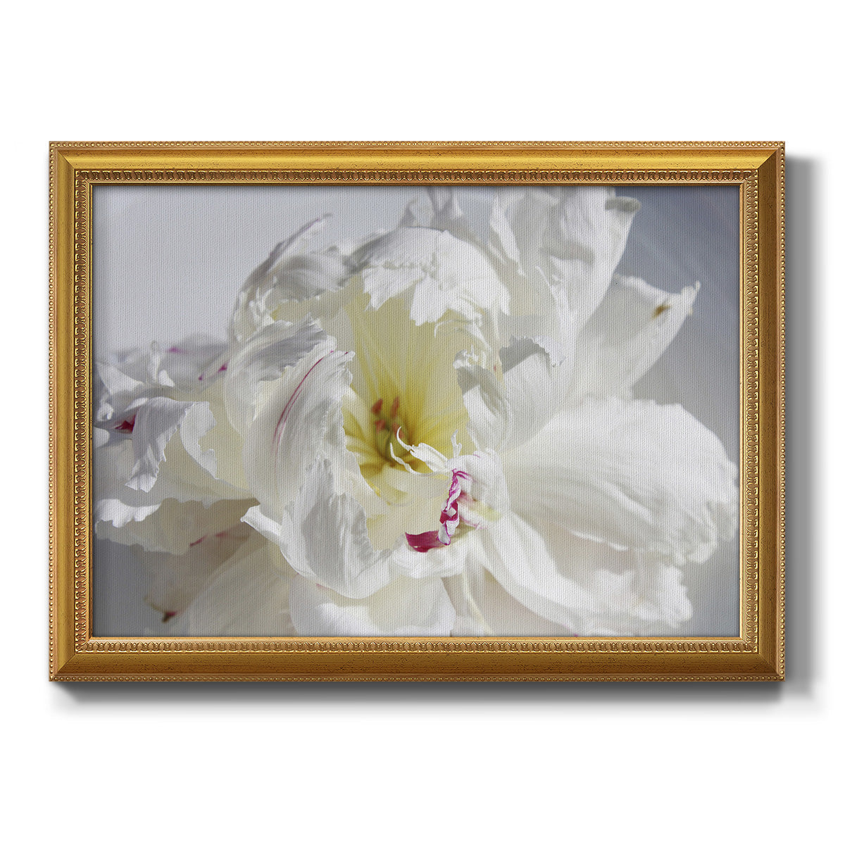 Breathless IV Premium Framed Canvas- Ready to Hang