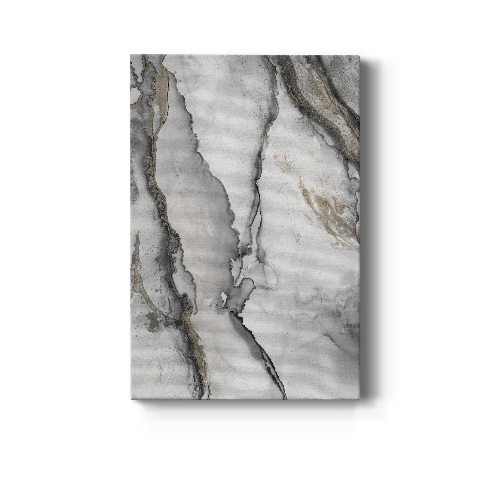 Abstract Ink Fantasy I - Canvas Art Print