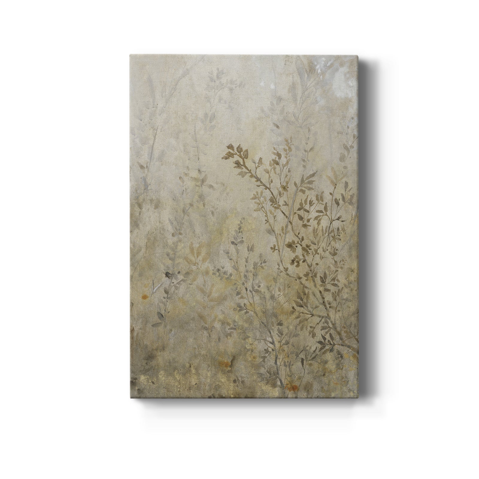 Illuminate Light II - Canvas Art Print