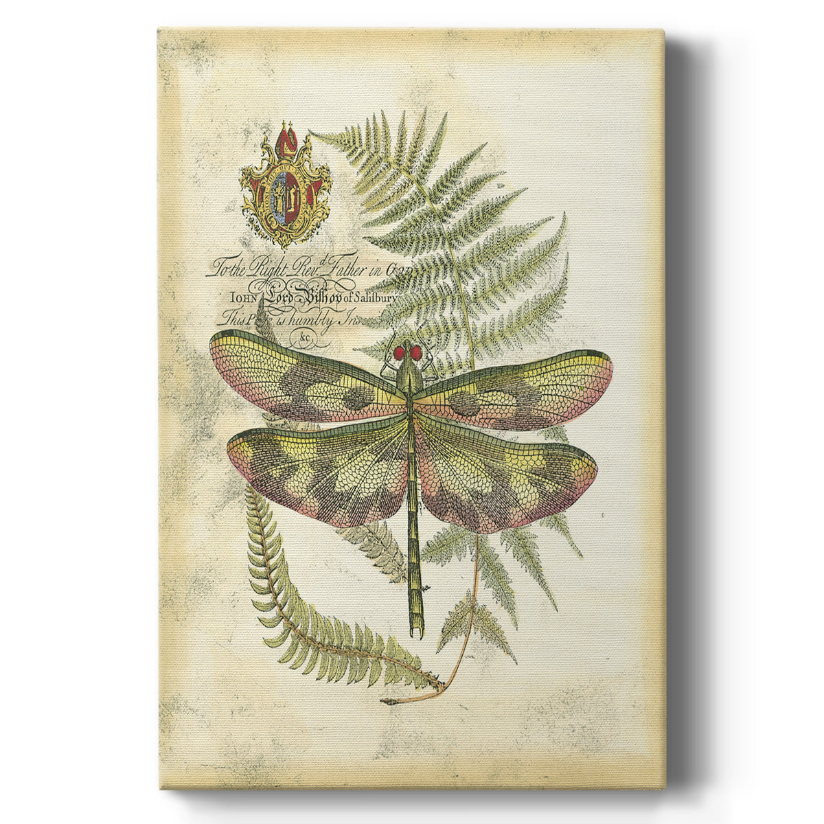 Regal Dragonfly IV (PP)  - Canvas Art Print