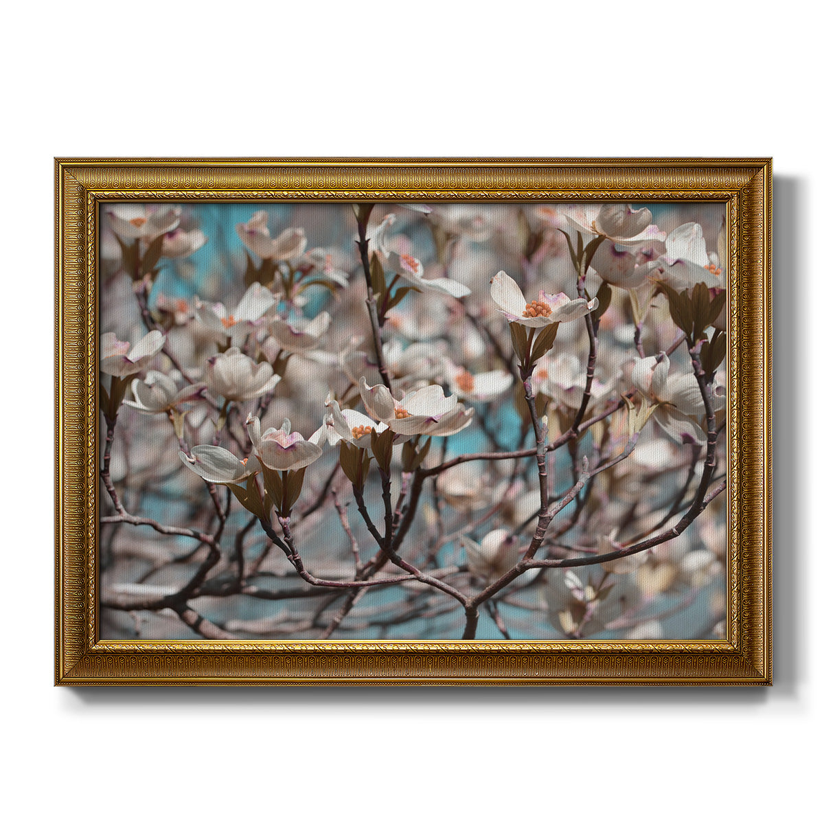 Dogwood Spring I - Ornate Framed Canvas Print