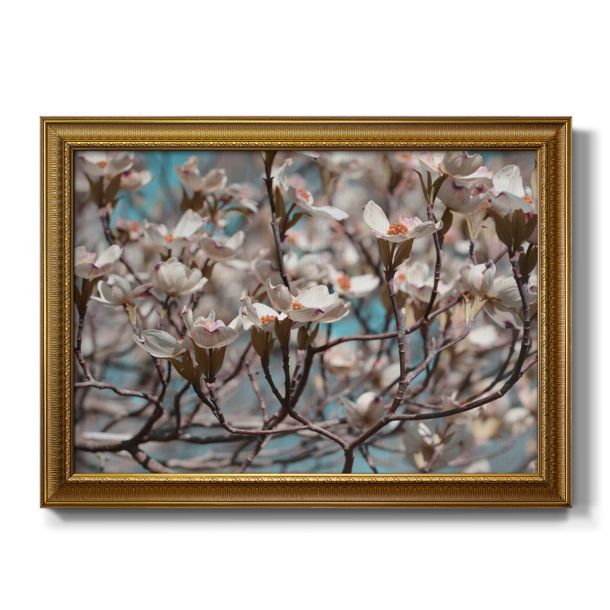 Dogwood Spring I Premium Framed Canvas- Ready to Hang
