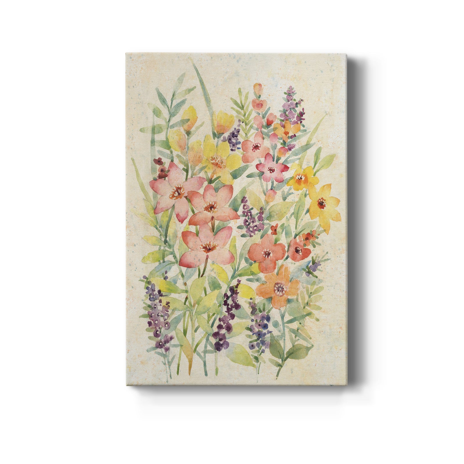 Freshly Cut II - Canvas Art Print