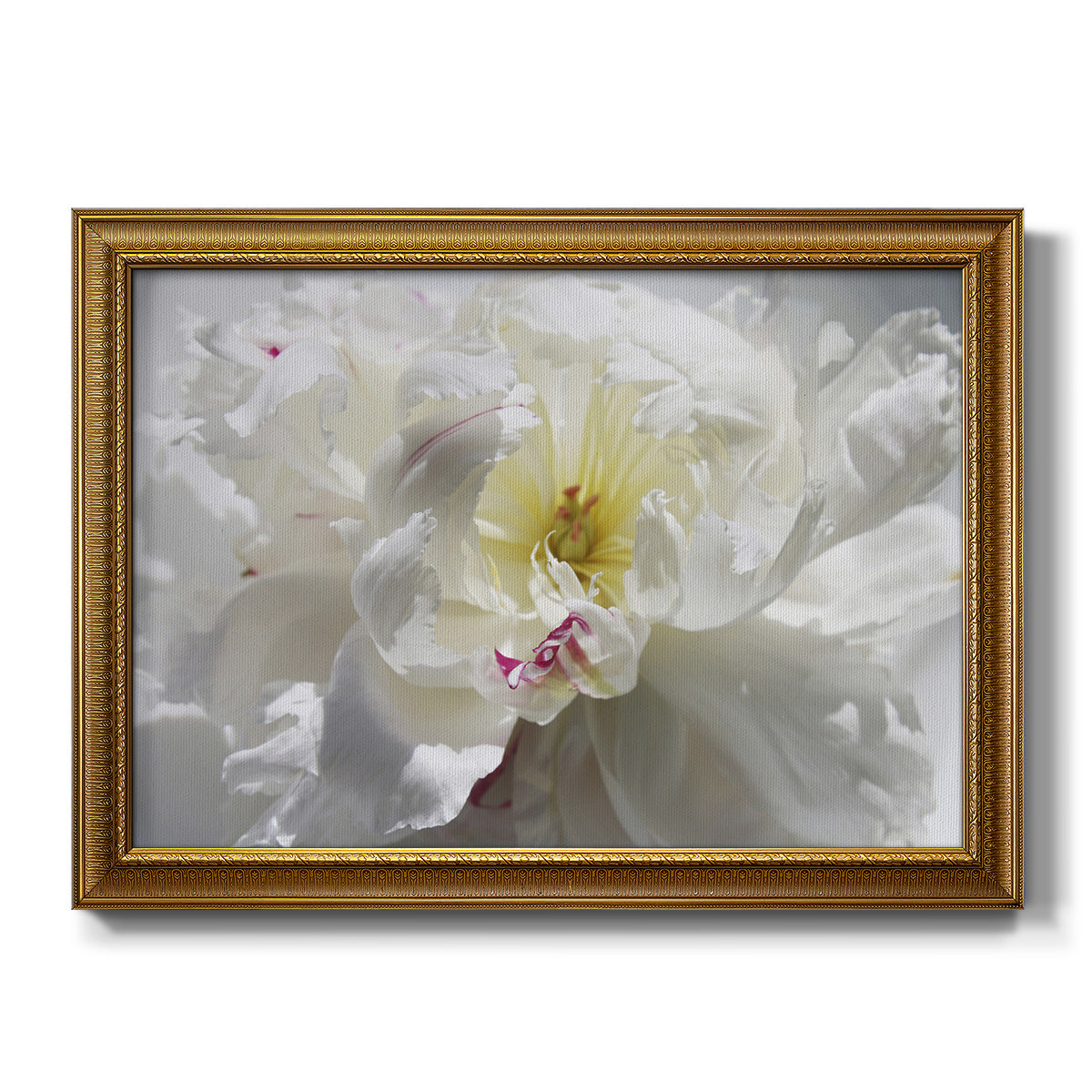 Breathless III - Ornate Framed Canvas Print