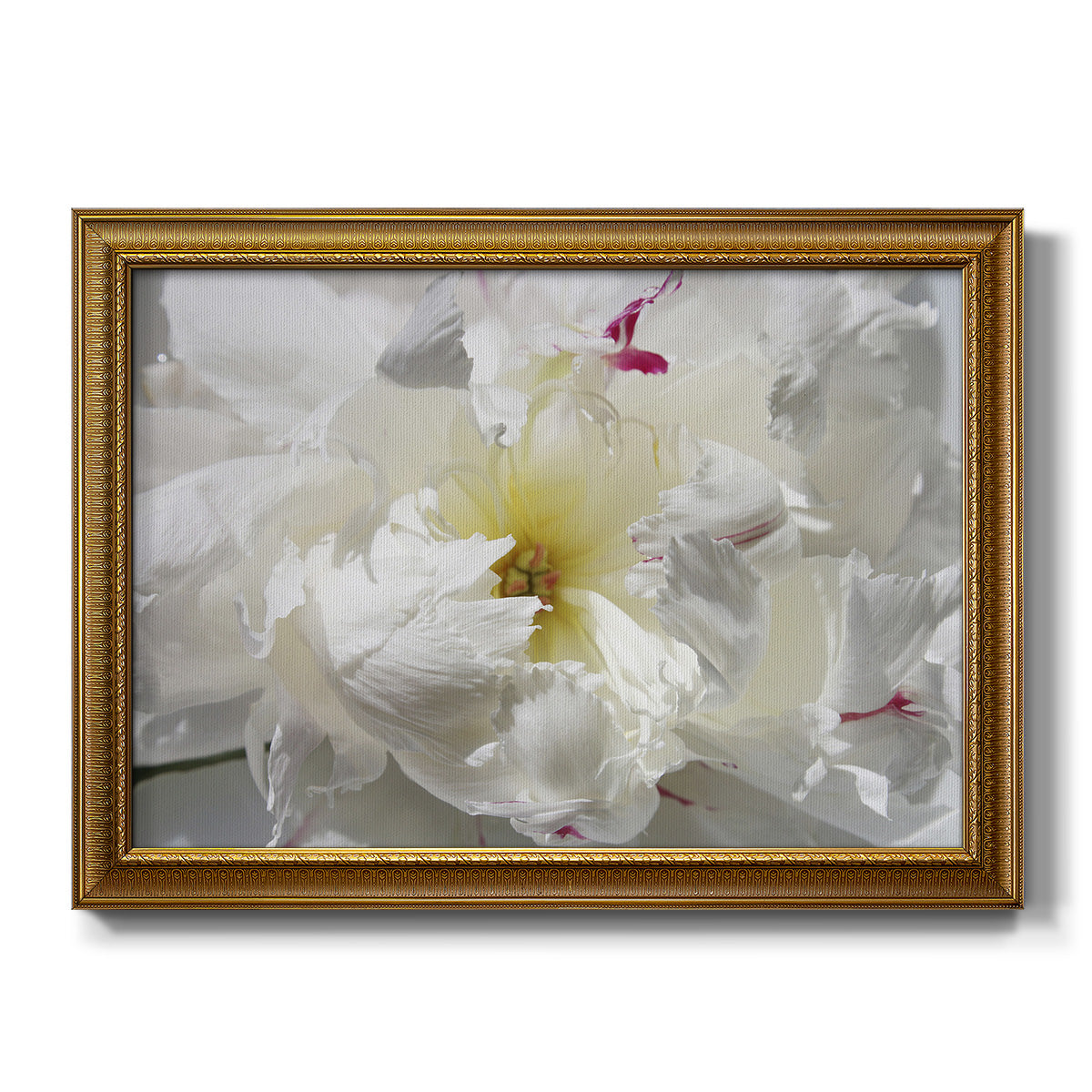 Breathless II - Ornate Framed Canvas Print